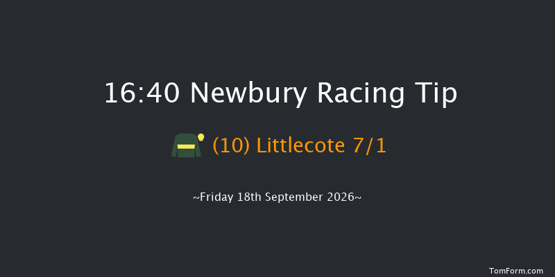 Newbury 16-40 (Class 4) 12f Wed 26th Aug 2026