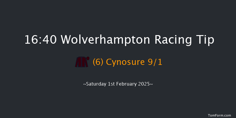Wolverhampton  16:40 Handicap (Class 3) 10f Tue 28th Jan 2025