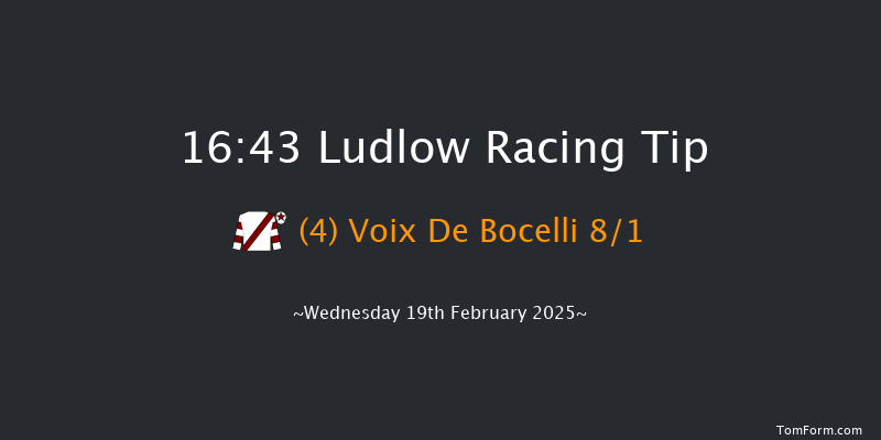 Ludlow  16:43 Handicap Chase (Class 5) 16f Wed 5th Feb 2025