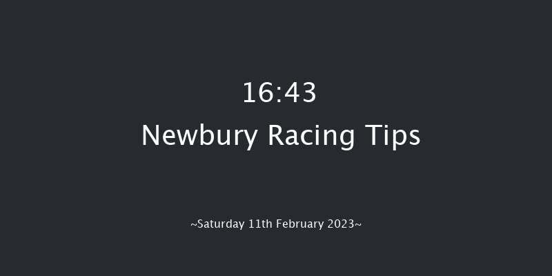Newbury 16:43 NH Flat Race (Class 1) 16f Sat 31st Dec 2022