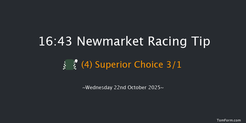 Newmarket 16-43 (Class 4) 8f Sat 11th Oct 2025