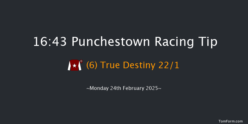 Punchestown  16:43 Handicap Hurdle 20f Fri 21st Feb 2025