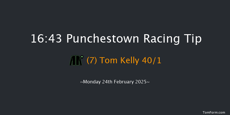 Punchestown  16:43 Handicap Hurdle 20f Fri 21st Feb 2025