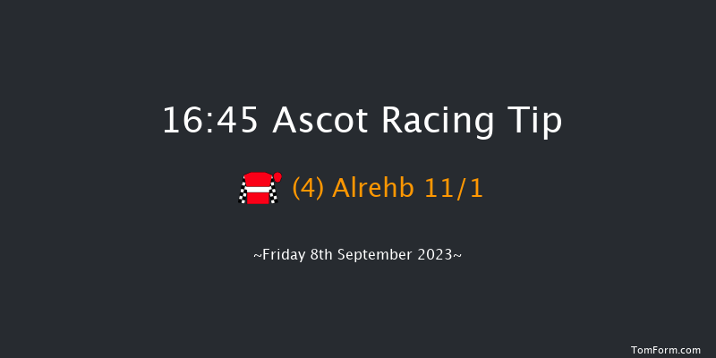 Ascot 16:45 Handicap (Class 2) 8f Sat 12th Aug 2023
