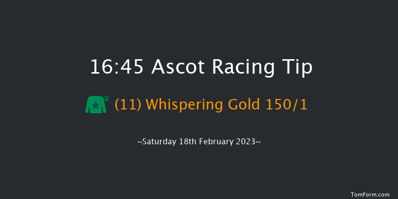Ascot 16:45 NH Flat Race (Class 3) 16f Sat 19th Nov 2022