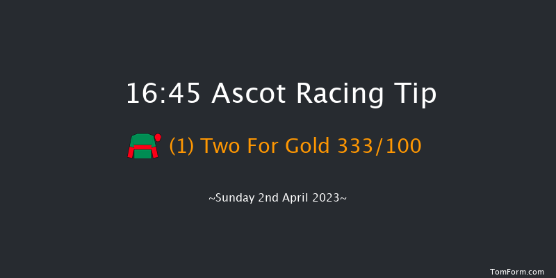 Ascot 16:45 Handicap Chase (Class 2) 24f Sat 18th Feb 2023