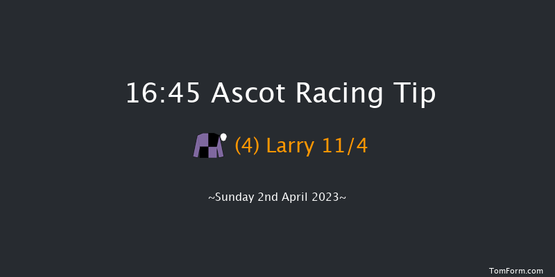 Ascot 16:45 Handicap Chase (Class 2) 24f Sat 18th Feb 2023