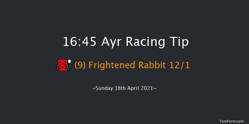Coral 'Fail To Finish' Free Bets 'Hands & Heels' Finale Handicap Hurdle (Conditi Ayr 16:45 Handicap Hurdle (Class 3) 20f Fri 16th Apr 2021