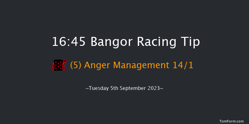 Bangor 16:45 Handicap Hurdle (Class 5) 20f Mon 21st Aug 2023