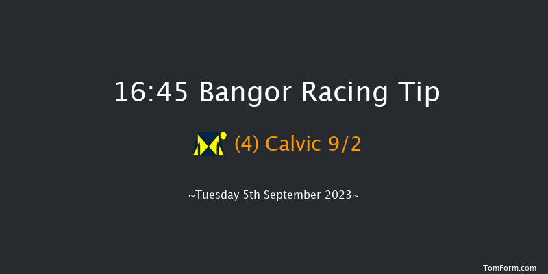 Bangor 16:45 Handicap Hurdle (Class 5) 20f Mon 21st Aug 2023