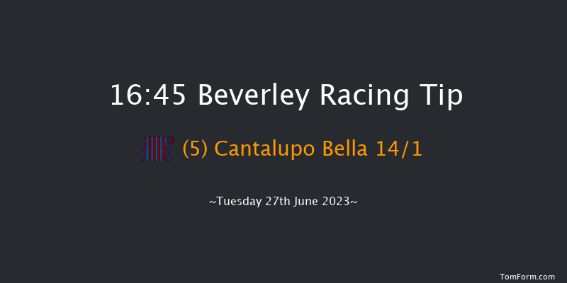 Beverley 16:45 Handicap (Class 6) 10f Tue 20th Jun 2023