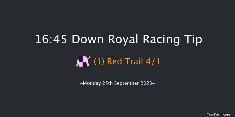 Down Royal 16:45 Handicap 10f Fri 8th Sep 2023