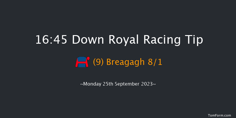 Down Royal 16:45 Handicap 10f Fri 8th Sep 2023
