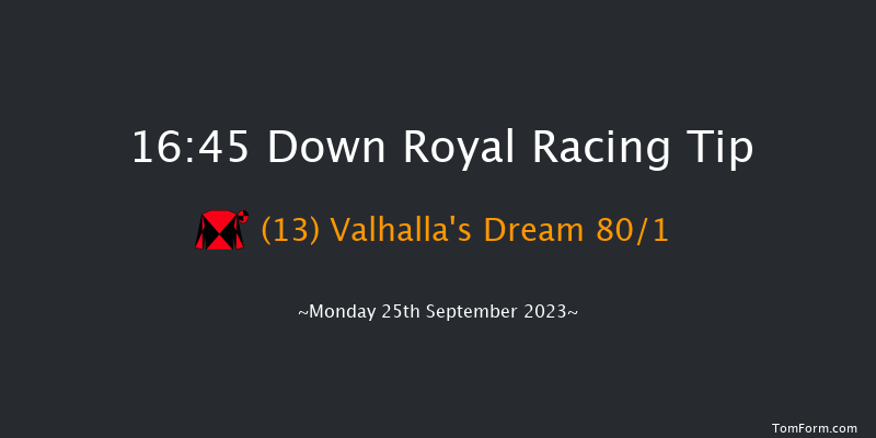 Down Royal 16:45 Handicap 10f Fri 8th Sep 2023