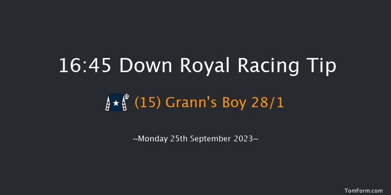 Down Royal 16:45 Handicap 10f Fri 8th Sep 2023