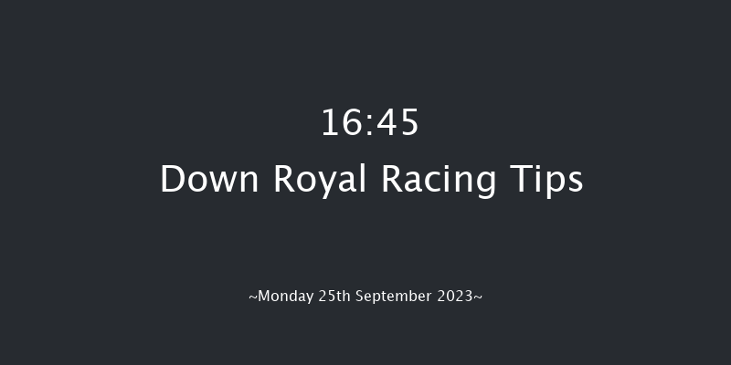 Down Royal 16:45 Handicap 10f Fri 8th Sep 2023