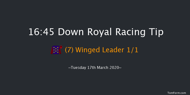 Hamilton Architects Hunters Chase Down Royal 16:45 Conditions Chase 20f Tue 28th Jan 2020