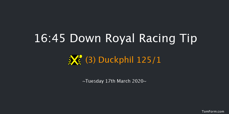 Hamilton Architects Hunters Chase Down Royal 16:45 Conditions Chase 20f Tue 28th Jan 2020