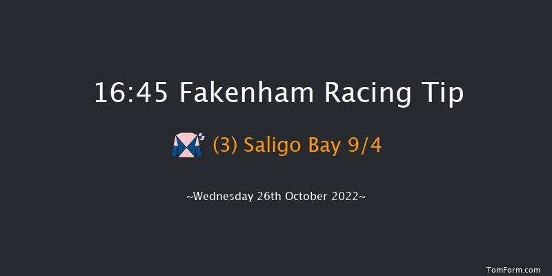 Fakenham 16:45 Handicap Hurdle (Class 4) 16f Fri 14th Oct 2022