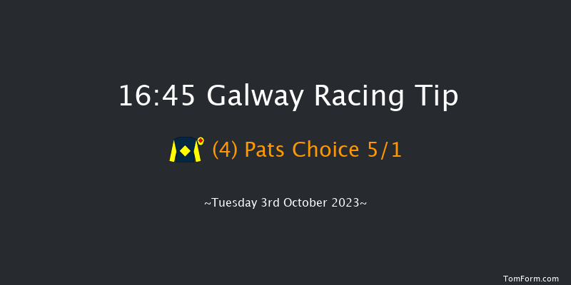 Galway 16:45 Handicap Chase 18f Tue 12th Sep 2023