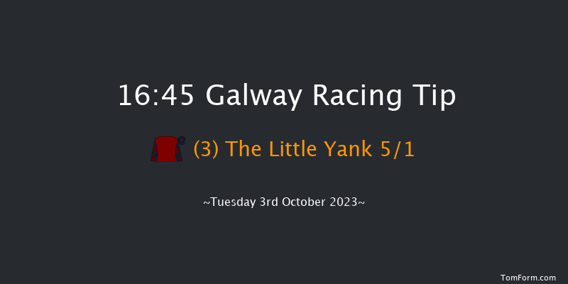 Galway 16:45 Handicap Chase 18f Tue 12th Sep 2023