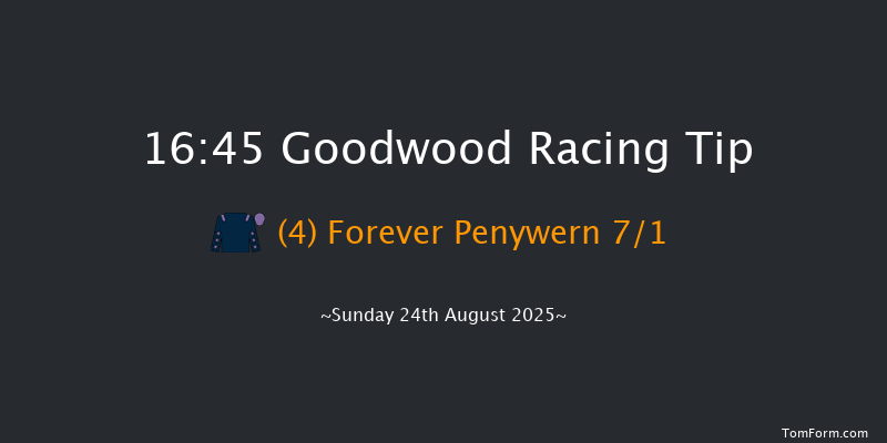 Goodwood 16-45 (Class 3) 11f Sat 23rd Aug 2025