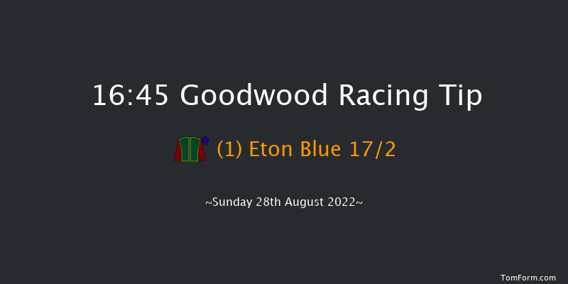 Goodwood 16:45 Handicap (Class 5) 9f Sat 27th Aug 2022