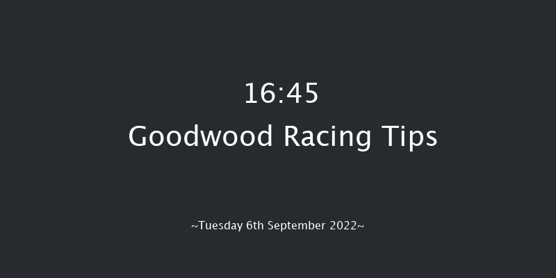 Goodwood 16:45 Stakes (Class 4) 10f Sun 28th Aug 2022