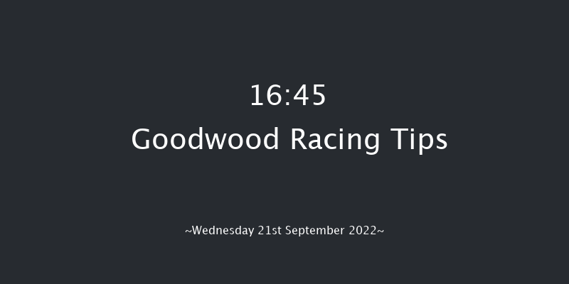 Goodwood 16:45 Handicap (Class 4) 9f Tue 6th Sep 2022
