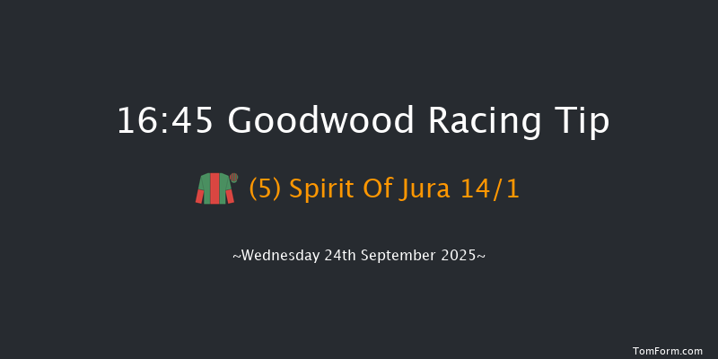 Goodwood 16-45 (Class 3) 15f Wed 3rd Sep 2025