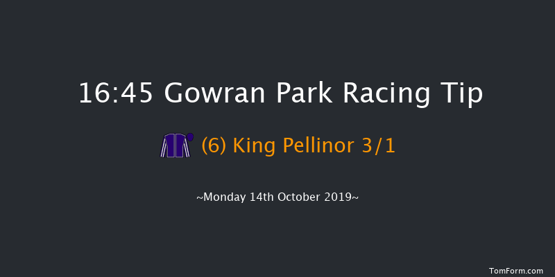 Gowran Park 16:45 Maiden 12f Sat 5th Oct 2019
