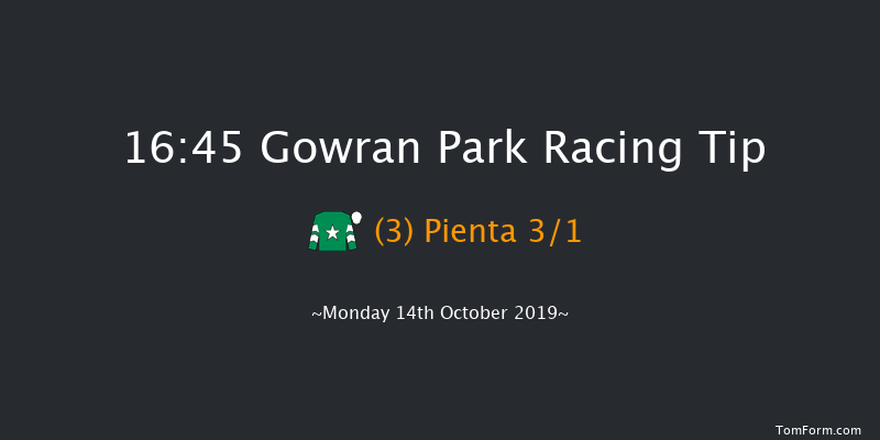 Gowran Park 16:45 Maiden 12f Sat 5th Oct 2019
