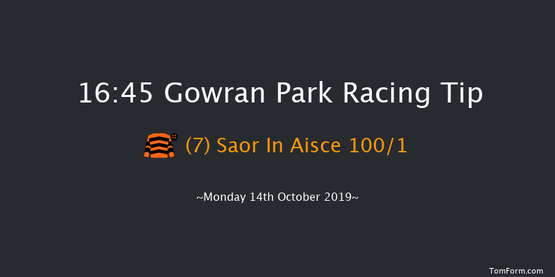 Gowran Park 16:45 Maiden 12f Sat 5th Oct 2019