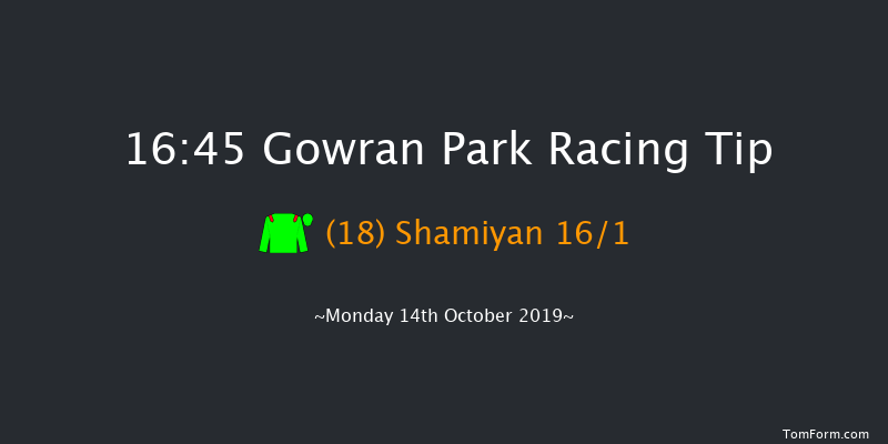 Gowran Park 16:45 Maiden 12f Sat 5th Oct 2019