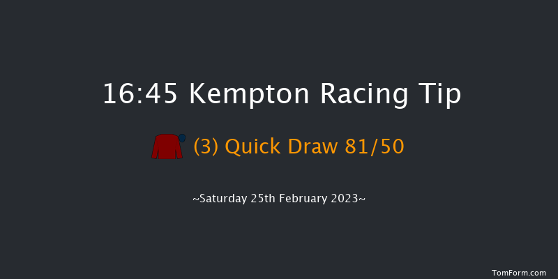 Kempton 16:45 Handicap Chase (Class 3) 20f Wed 22nd Feb 2023