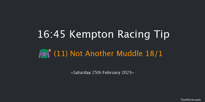 Kempton 16:45 Handicap Chase (Class 3) 20f Wed 22nd Feb 2023