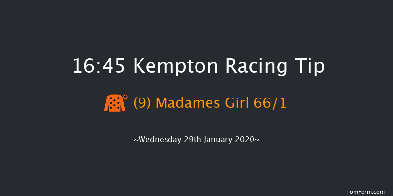 Kempton 16:45 Maiden (Class 5) 8f Sat 25th Jan 2020