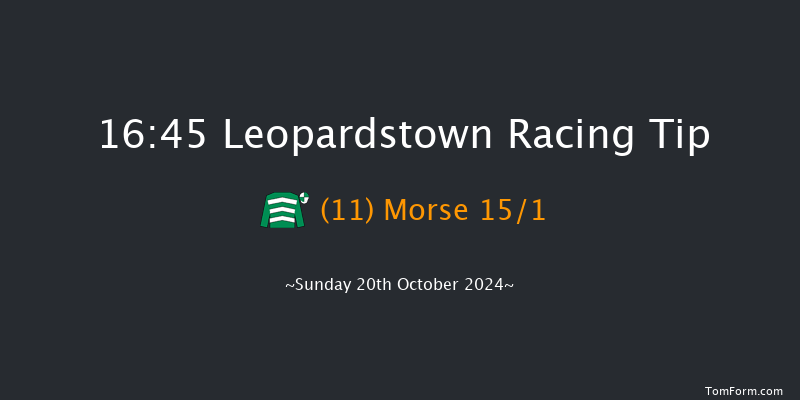 Leopardstown  16:45 Handicap 12f Sat 19th Oct 2024
