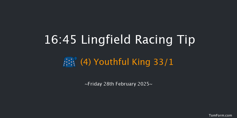 Lingfield  16:45 Handicap (Class 2) 10f Thu 20th Feb 2025