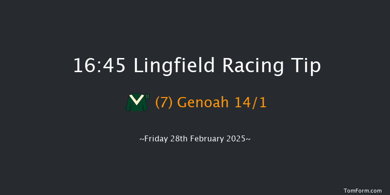 Lingfield  16:45 Handicap (Class 2) 10f Thu 20th Feb 2025