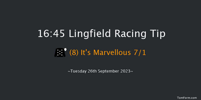 Lingfield 16:45 Stakes (Class 5) 10f Sat 16th Sep 2023