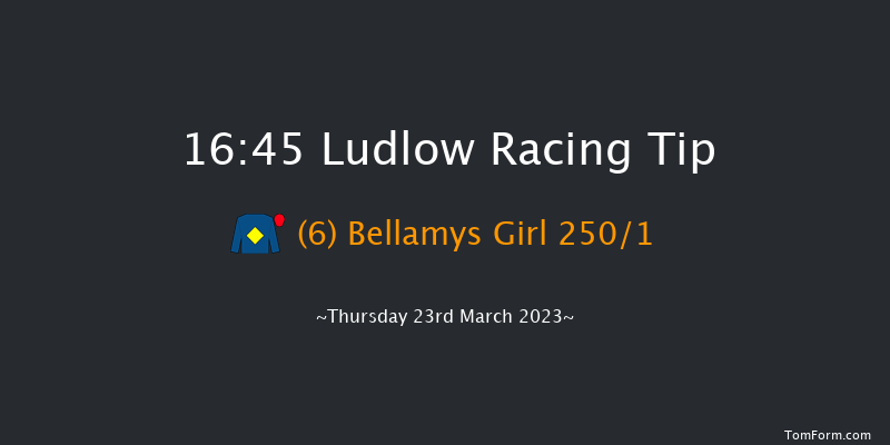 Ludlow 16:45 Maiden Hurdle (Class 4) 21f Thu 2nd Mar 2023