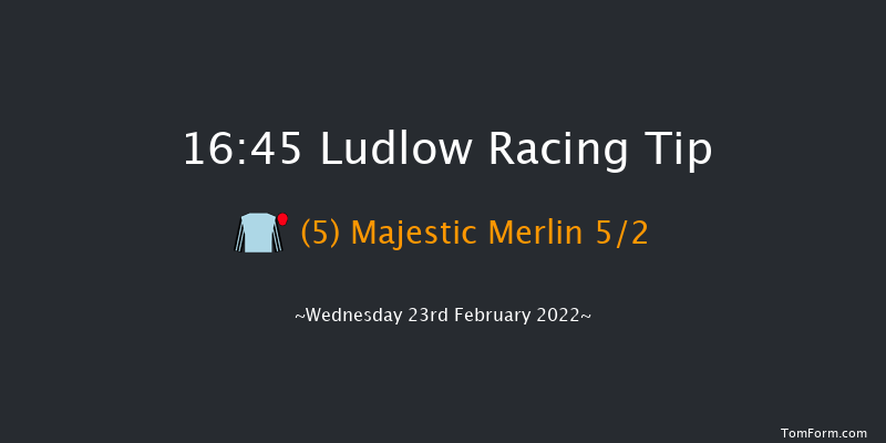 Ludlow 16:45 Handicap Chase (Class 5) 16f Wed 9th Feb 2022