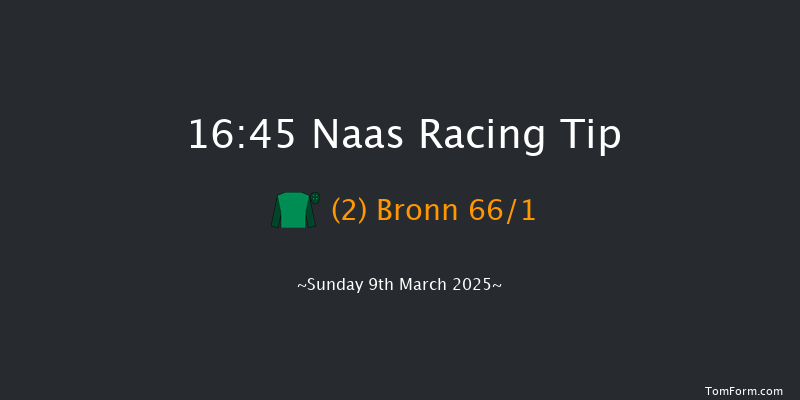 Naas  16:45 Handicap Chase 25f Sun 23rd Feb 2025
