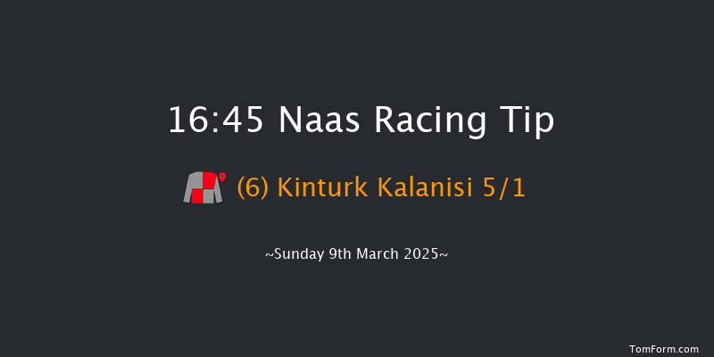 Naas  16:45 Handicap Chase 25f Sun 23rd Feb 2025