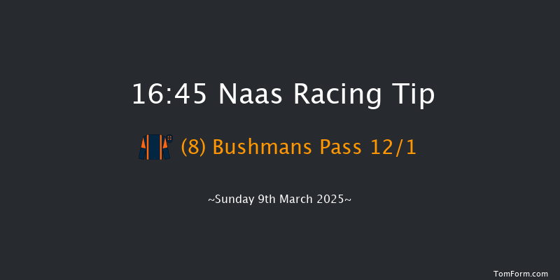 Naas  16:45 Handicap Chase 25f Sun 23rd Feb 2025