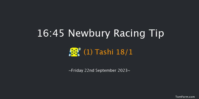 Newbury 16:45 Handicap (Class 4) 12f Tue 29th Aug 2023