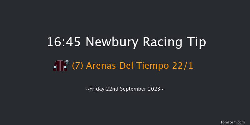 Newbury 16:45 Handicap (Class 4) 12f Tue 29th Aug 2023