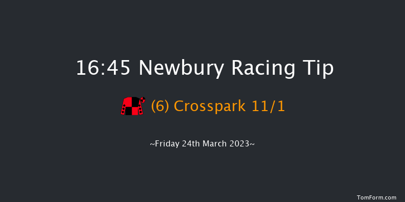Newbury 16:45 Hunter Chase (Class 5) 23f Sat 4th Mar 2023