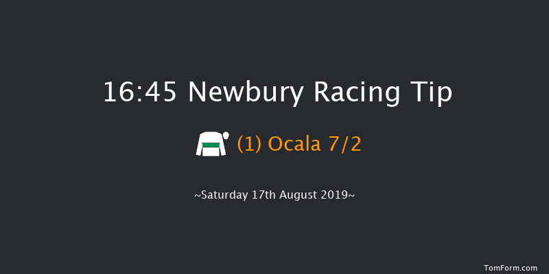 Newbury 16:45 Handicap (Class 4) 10f Fri 16th Aug 2019